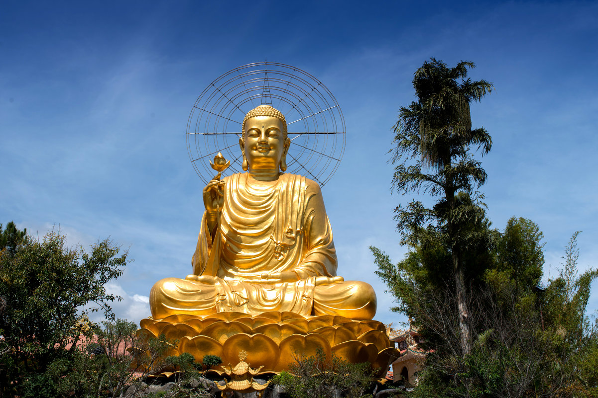 Сам будда. Золотой Будда. Золотой Будда Далат. Будда Шакьямуни фото. Статуя Будды в Тайланде.